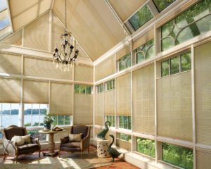 top down bottom up window shades Reno