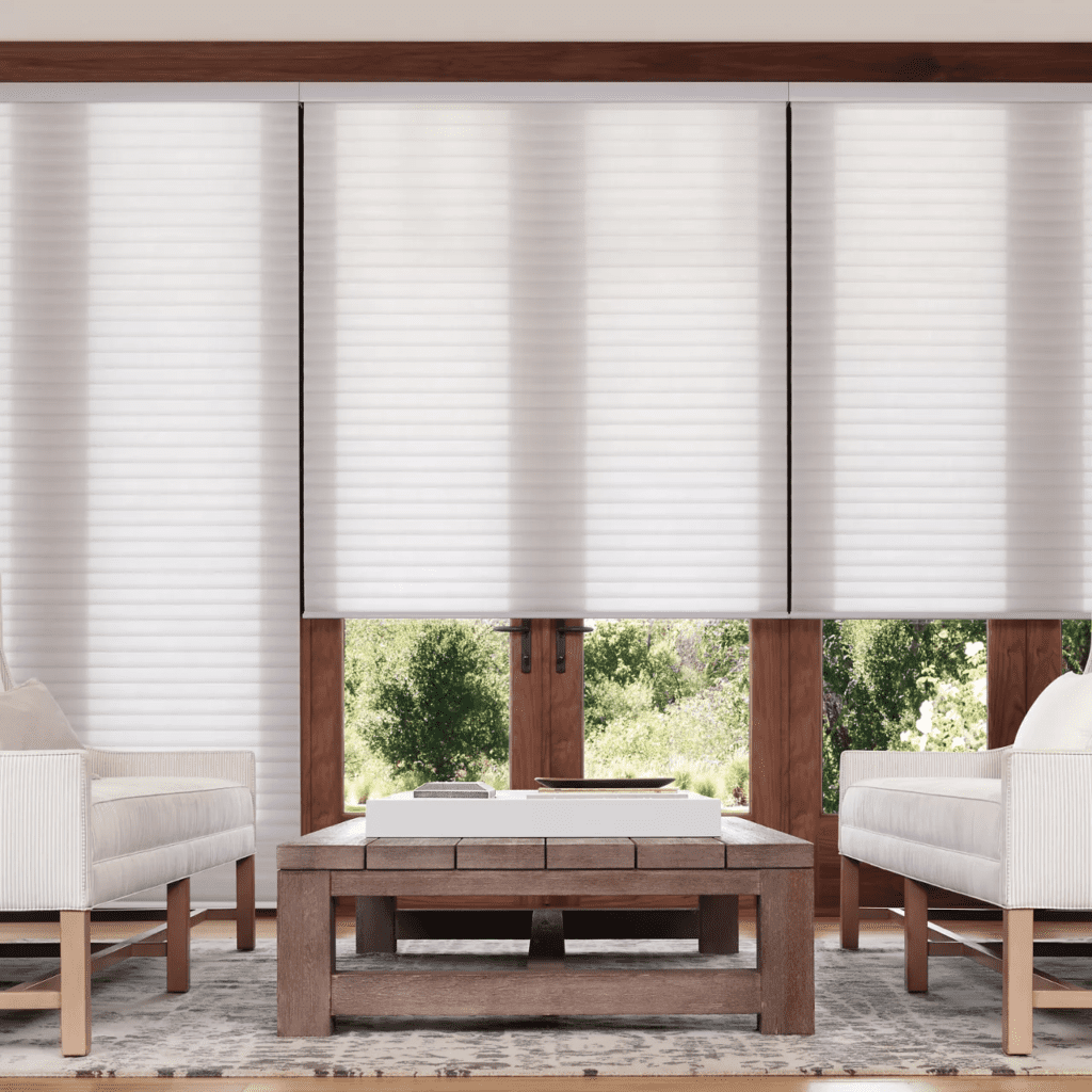 Motorized Blinds